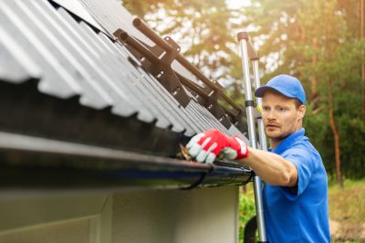 Gutter and Roof System Cleaning